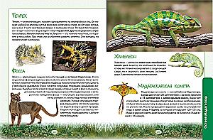 Animals. The Great Expedition Around the World