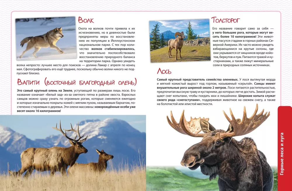 Animals. The Great Expedition Around the World