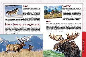 Animals. The Great Expedition Around the World