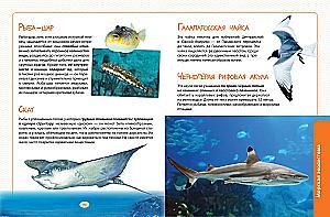 Animals. The Great Expedition Around the World