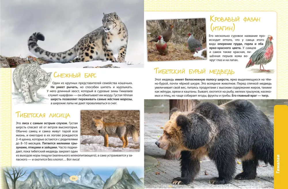 Animals. The Great Expedition Around the World