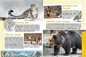 Animals. The Great Expedition Around the World