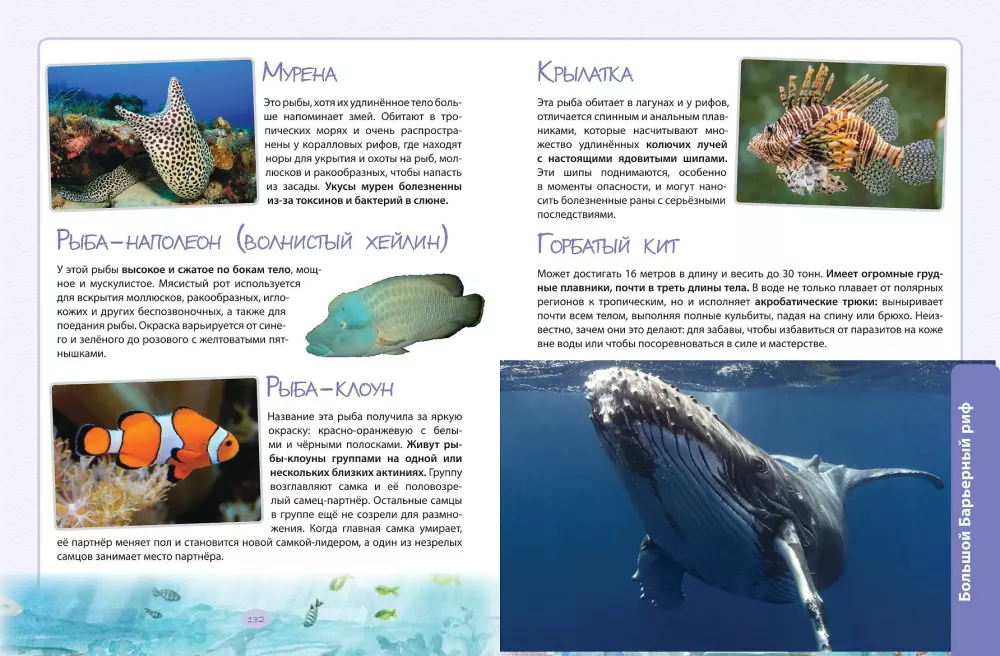 Animals. The Great Expedition Around the World