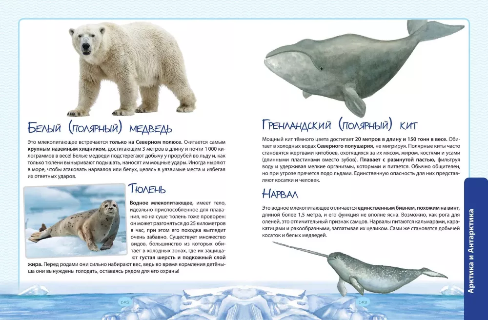 Animals. The Great Expedition Around the World