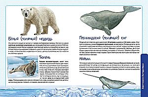 Animals. The Great Expedition Around the World