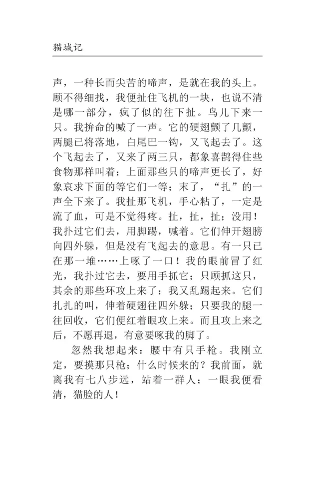 Mao Cheng Ji = Записки о Кошачьем городе