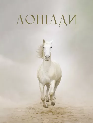 Лошади