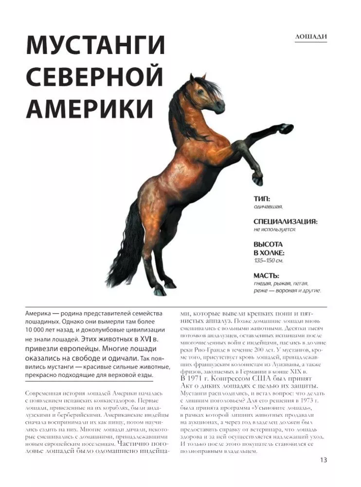 Лошади