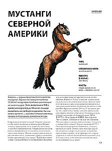 Лошади