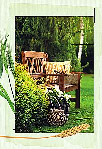 The Scent of Strawberries. Light Tales and Dacha Sketches