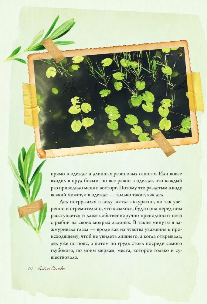 The Scent of Strawberries. Light Tales and Dacha Sketches