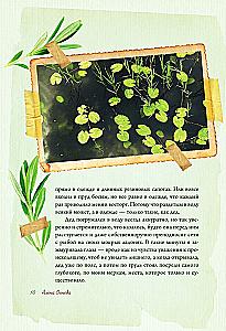 The Scent of Strawberries. Light Tales and Dacha Sketches