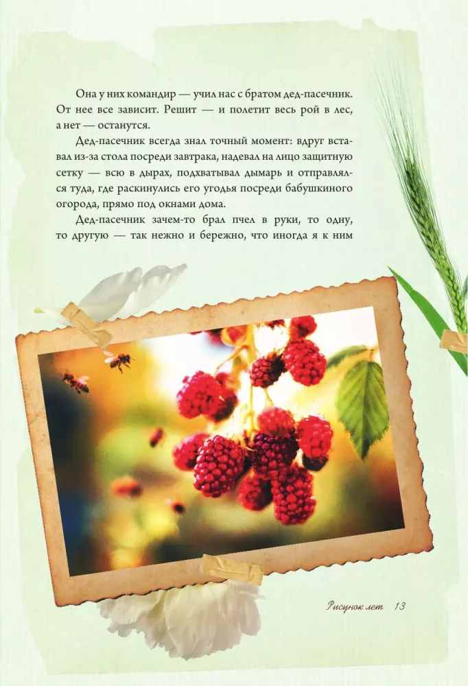 The Scent of Strawberries. Light Tales and Dacha Sketches