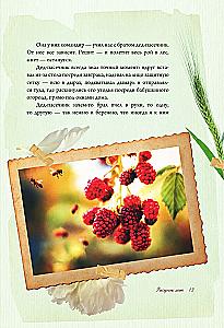 The Scent of Strawberries. Light Tales and Dacha Sketches