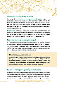 Завтраки на каждый день. Ваш первый кулинарный наставник