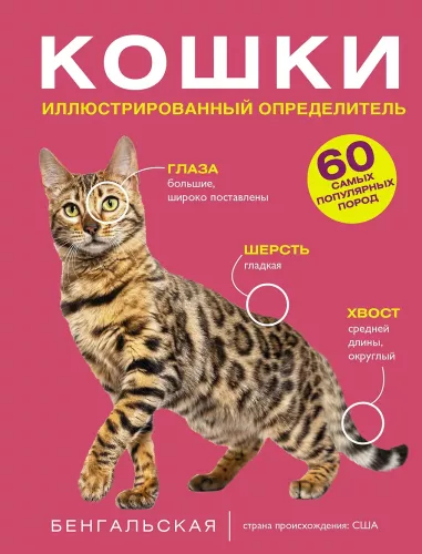 Кошки. 60 самых популярных пород. Иллюстрированный определитель