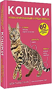 Кошки. 60 самых популярных пород. Иллюстрированный определитель