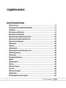 Кошки. 60 самых популярных пород. Иллюстрированный определитель