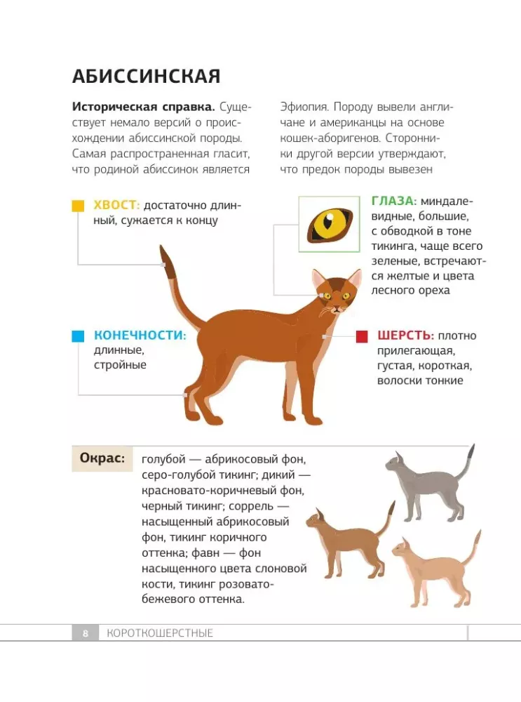 Кошки. 60 самых популярных пород. Иллюстрированный определитель