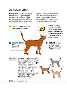 Кошки. 60 самых популярных пород. Иллюстрированный определитель