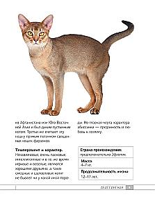 Кошки. 60 самых популярных пород. Иллюстрированный определитель