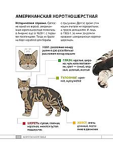 Кошки. 60 самых популярных пород. Иллюстрированный определитель