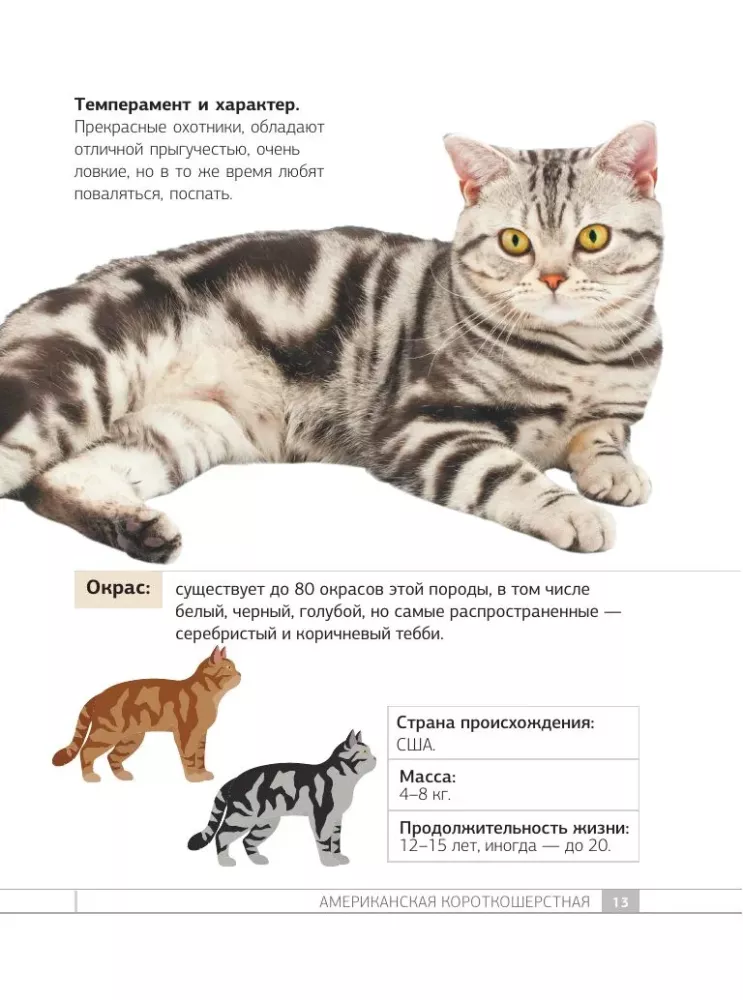 Кошки. 60 самых популярных пород. Иллюстрированный определитель