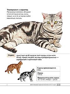 Кошки. 60 самых популярных пород. Иллюстрированный определитель