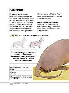 Кошки. 60 самых популярных пород. Иллюстрированный определитель
