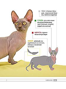Кошки. 60 самых популярных пород. Иллюстрированный определитель