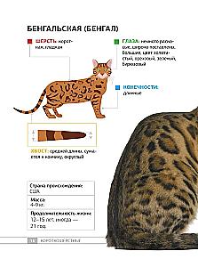 Кошки. 60 самых популярных пород. Иллюстрированный определитель