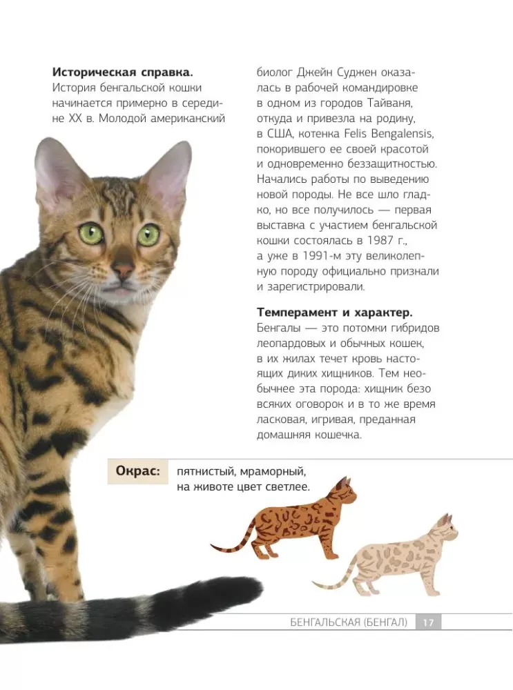 Кошки. 60 самых популярных пород. Иллюстрированный определитель
