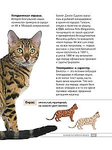 Кошки. 60 самых популярных пород. Иллюстрированный определитель