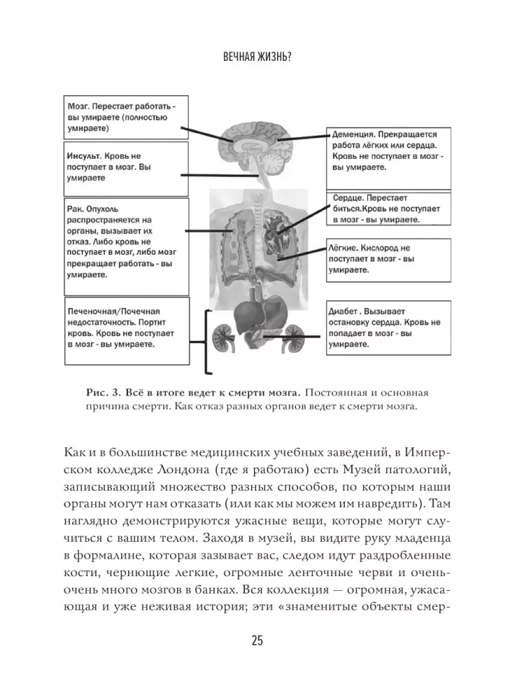 Реальный биологический возраст. Как мы устроены, почему стареем и что с этим делать