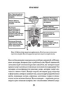 Реальный биологический возраст. Как мы устроены, почему стареем и что с этим делать