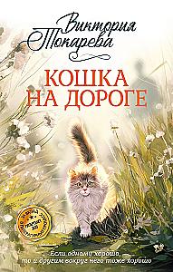 Cat on the Road
