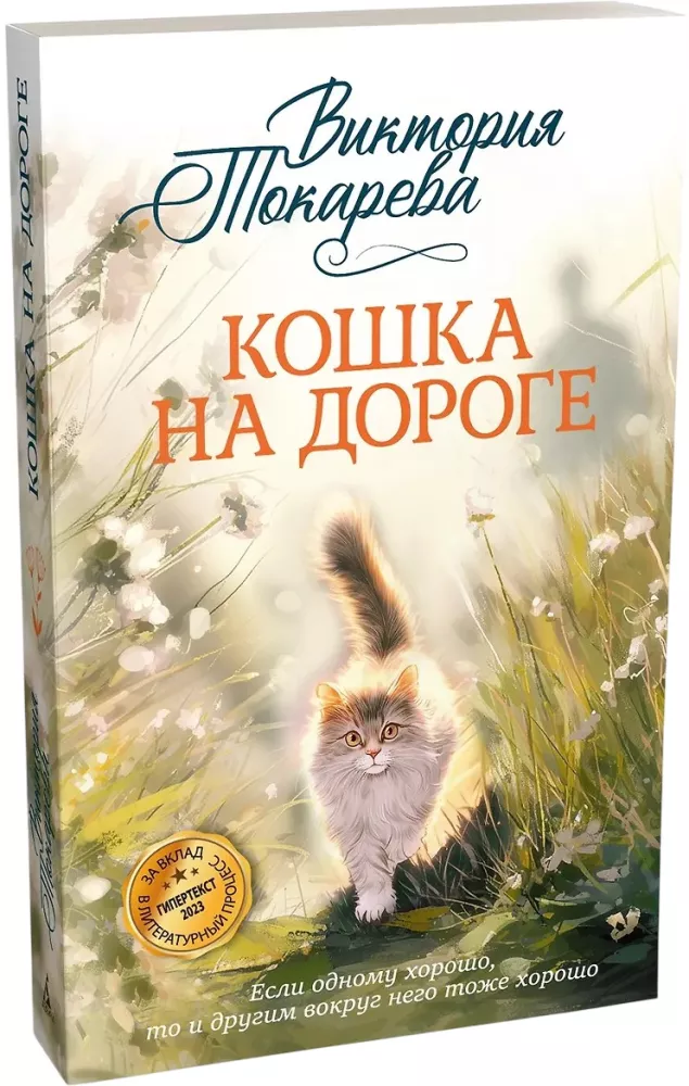 Cat on the Road