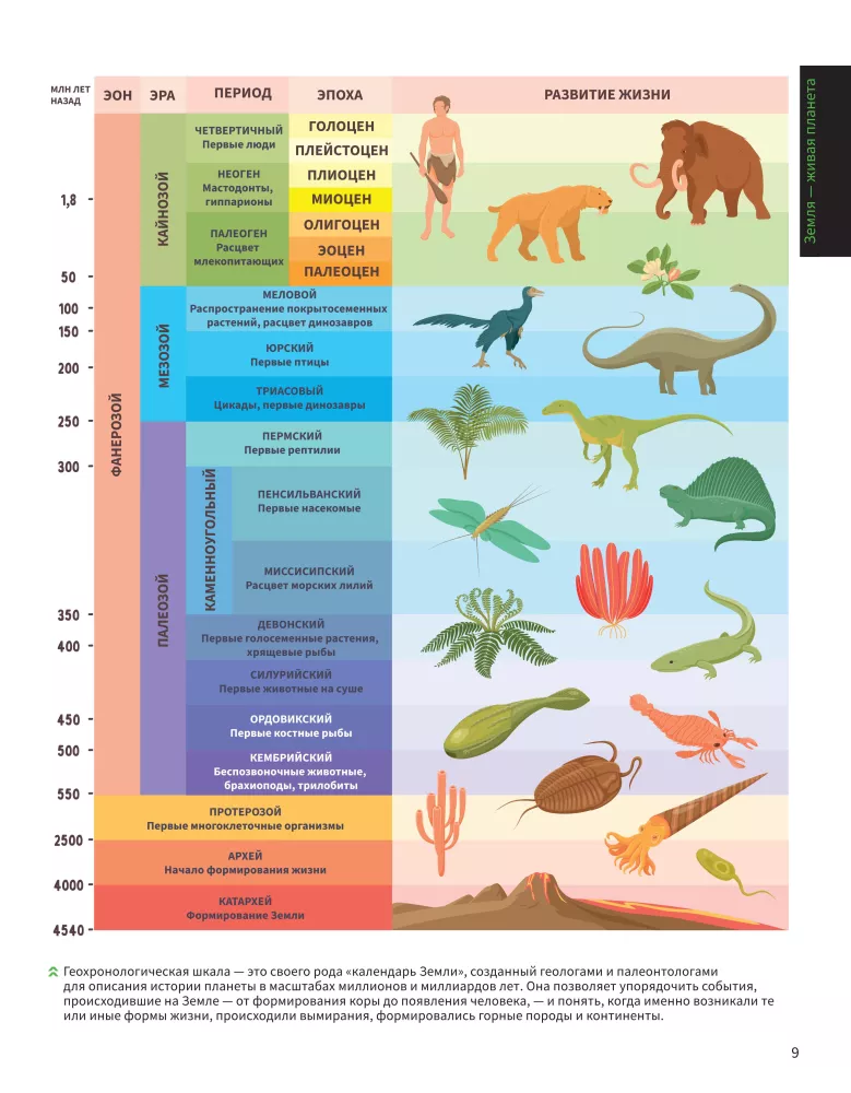 Animals. Illustrated Atlas