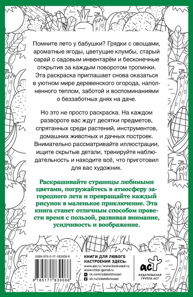 Бабулин огород. Раскраска на поиск предметов