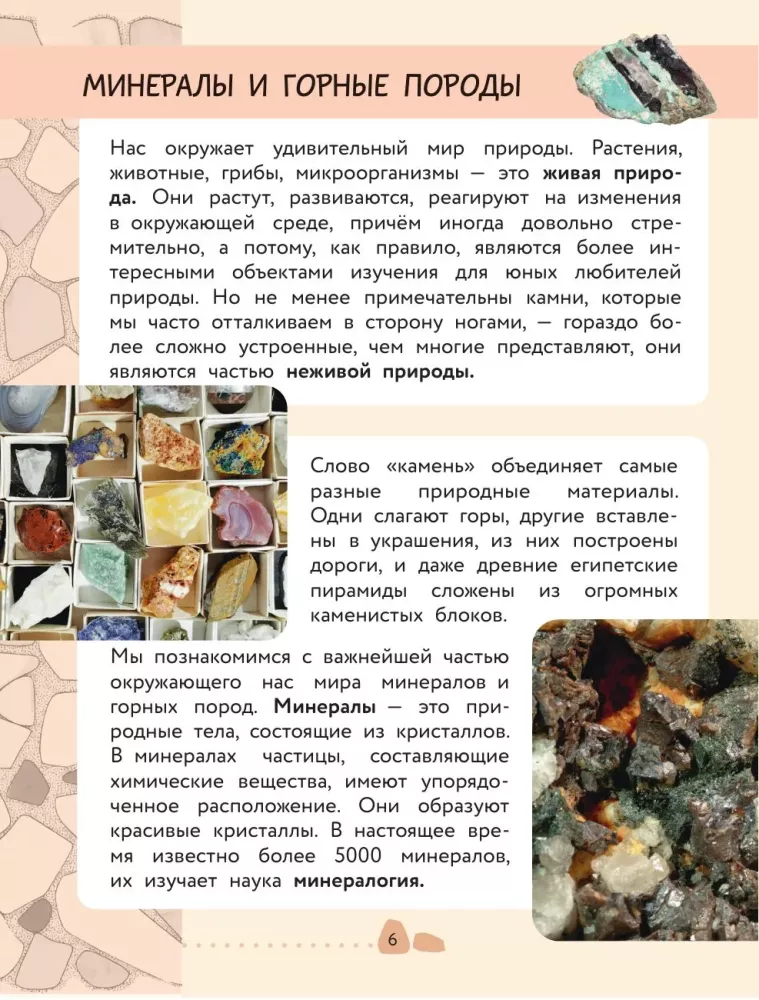 Die Umwelt. Mineralien und Gesteine