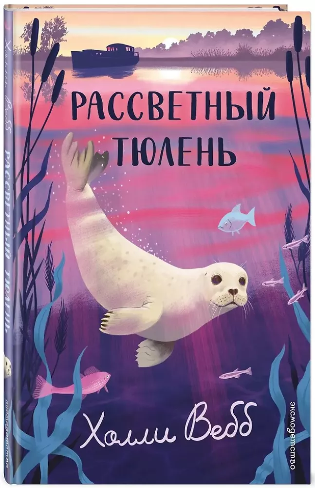 Dawn Seal