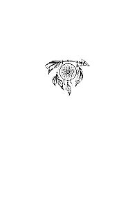 Promotion to Power. The Way of the Seers. Secret Knowledge Passed Through the Student of Castaneda