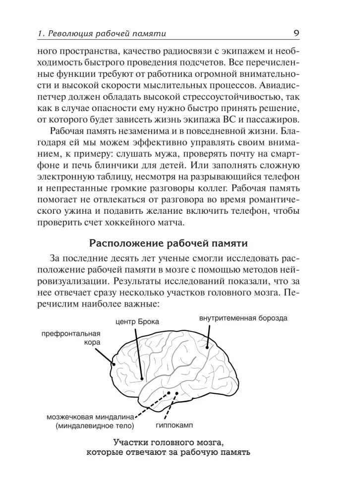 Techniques and Strategies for Memory Development