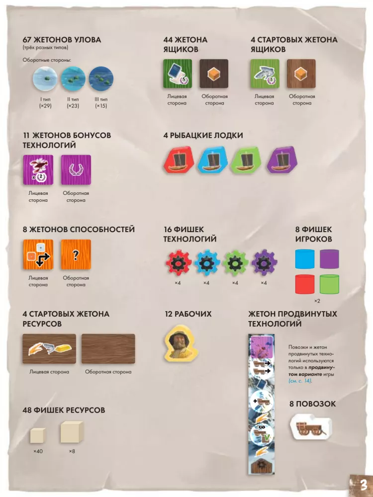 Board Game - Saltfjord