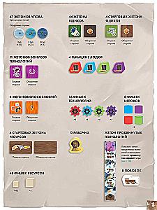 Board Game - Saltfjord