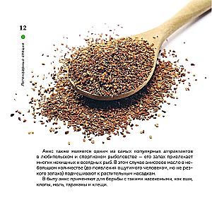 Legendary Spices