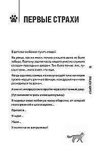 Спасите котика! Всё, что нужно знать о сценарии хоррора