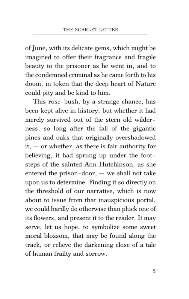 The Scarlet Letter