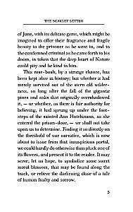 The Scarlet Letter