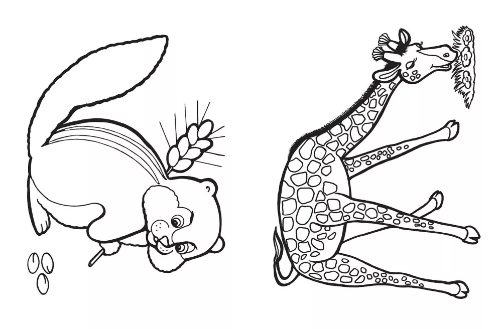 Big Coloring Book. World of Nature — photo 6